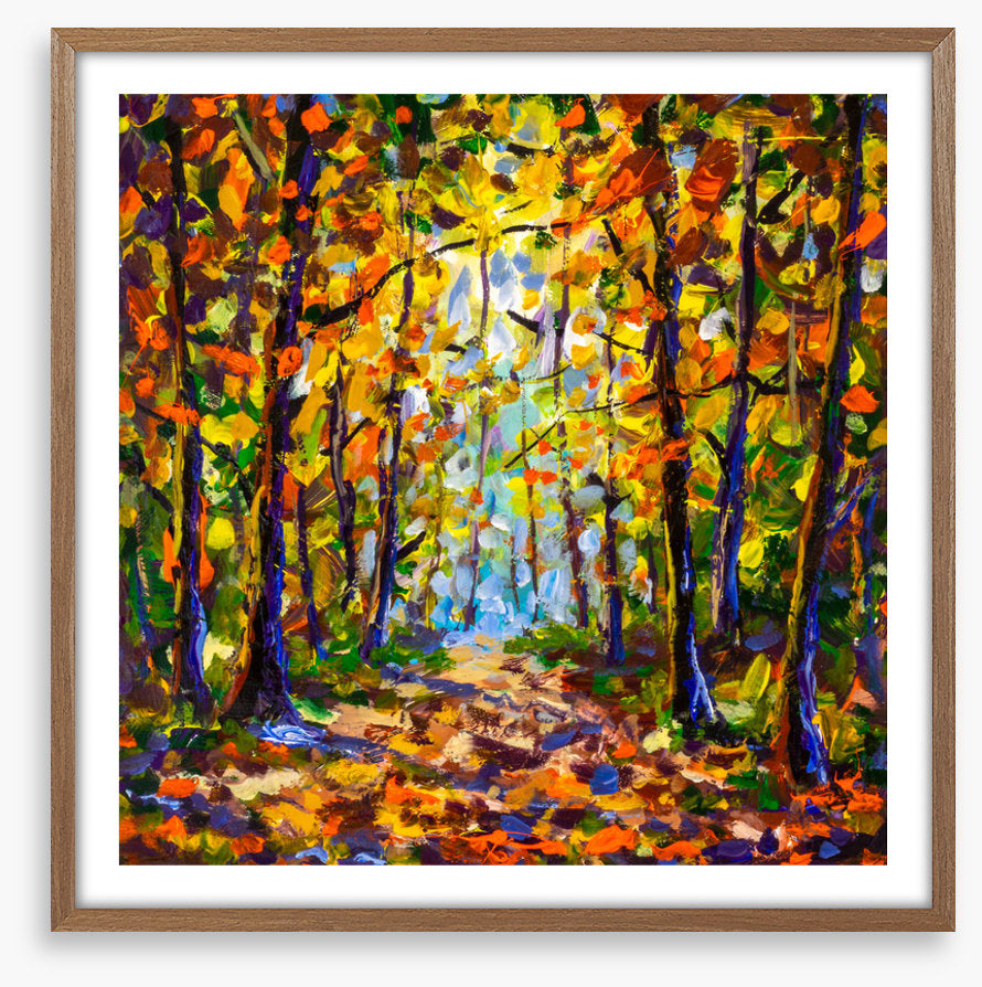 Autumn leaf tunnel