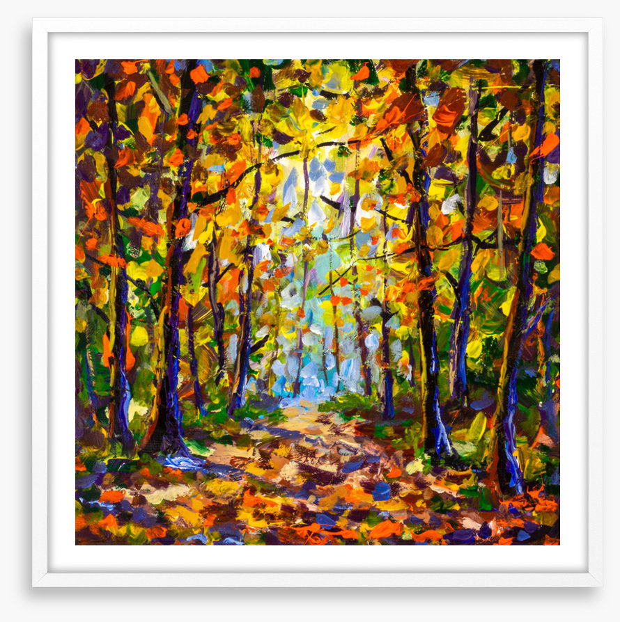 Autumn leaf tunnel