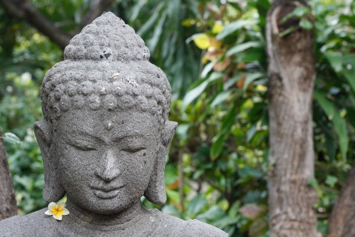 Frangipani buddha