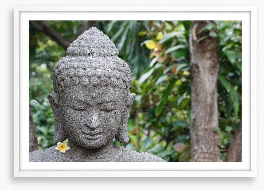Frangipani buddha