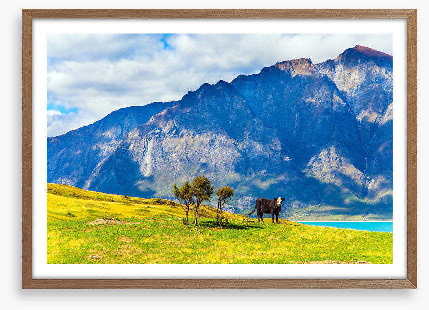 New Zealand