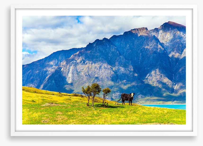 New Zealand