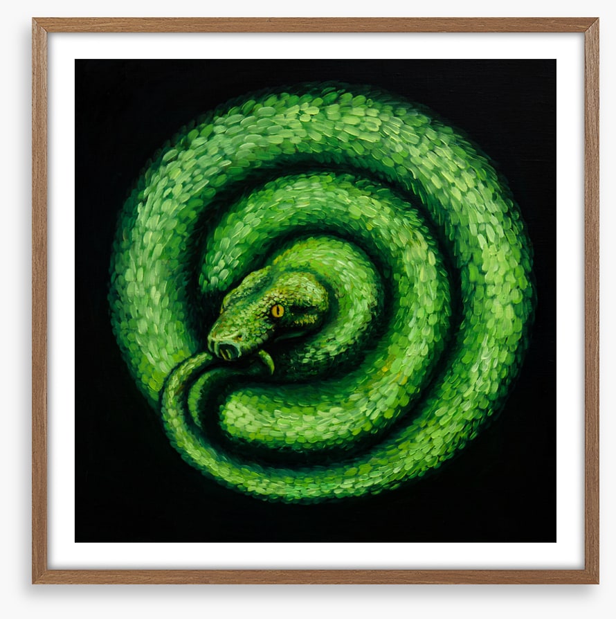 Green serpent spiral