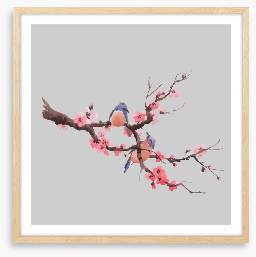 Sakura songbirds