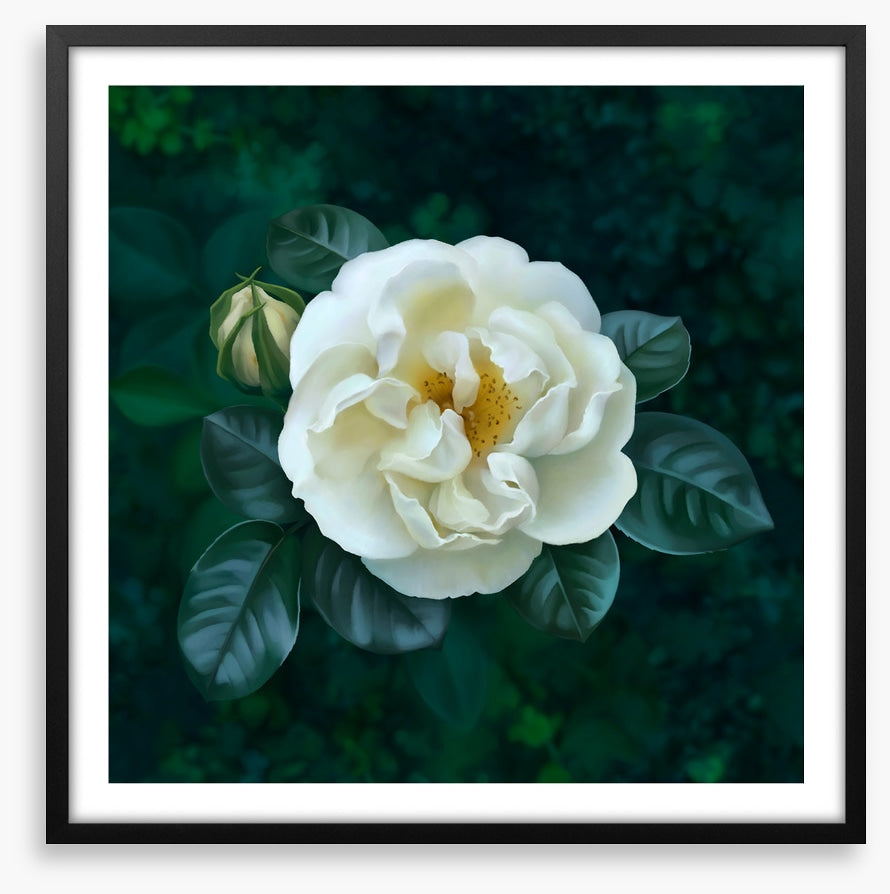 The garden pearl