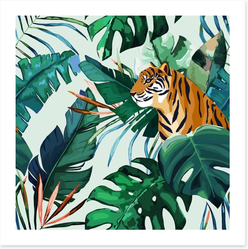 Animals