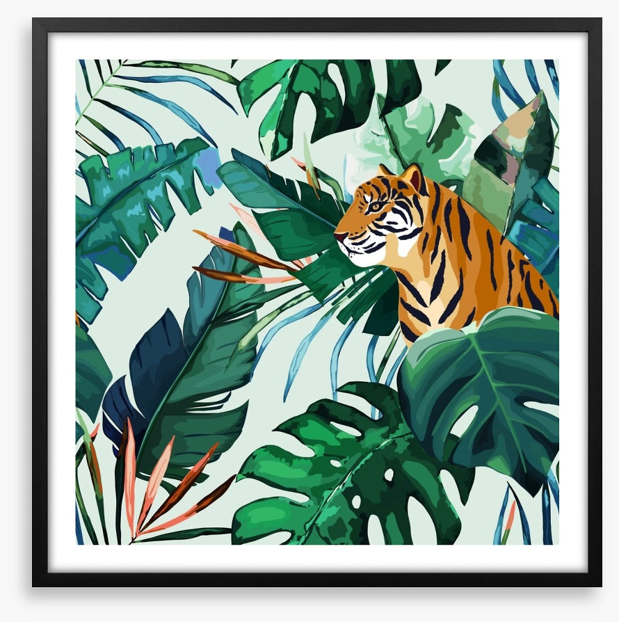 Animals