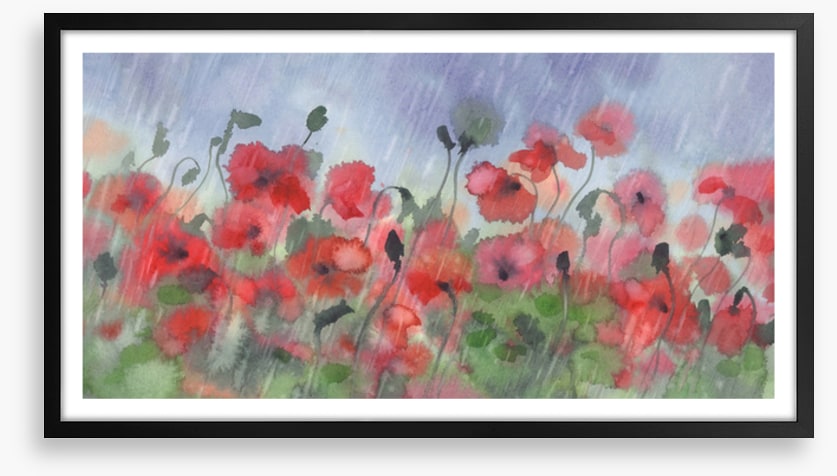 Poppies in the storm