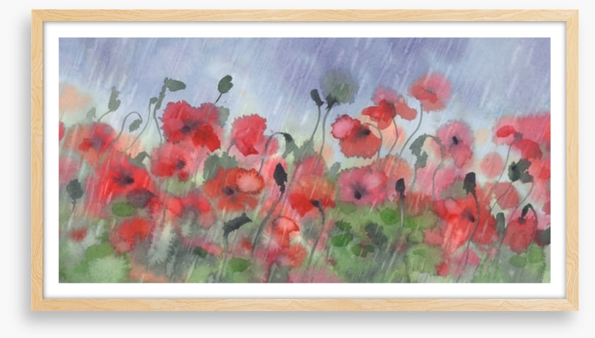 Poppies in the storm