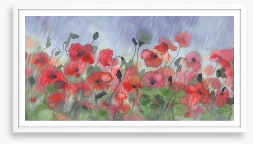 Poppies in the storm
