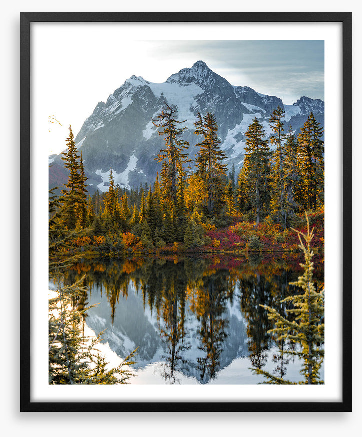 Peaks and pine