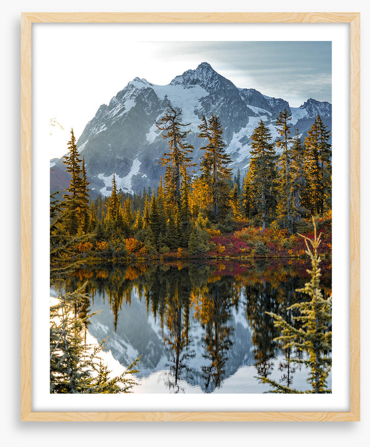 Peaks and pine