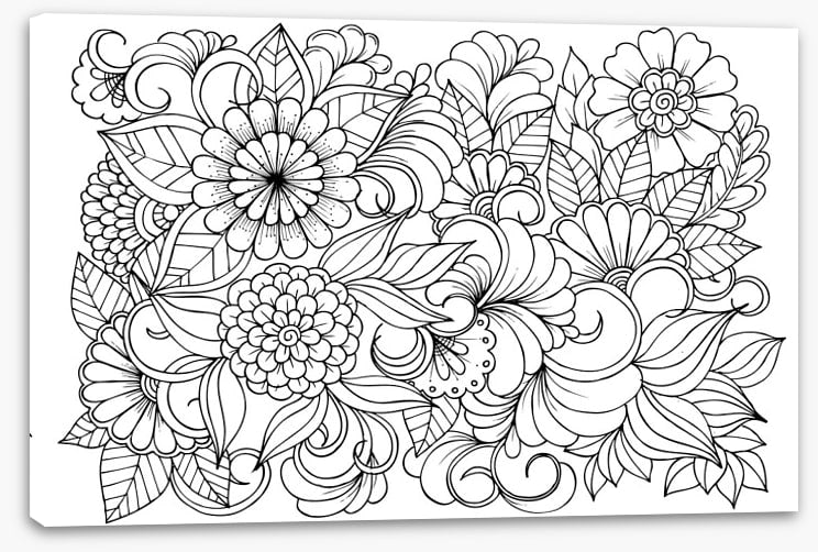 Colour me blooming