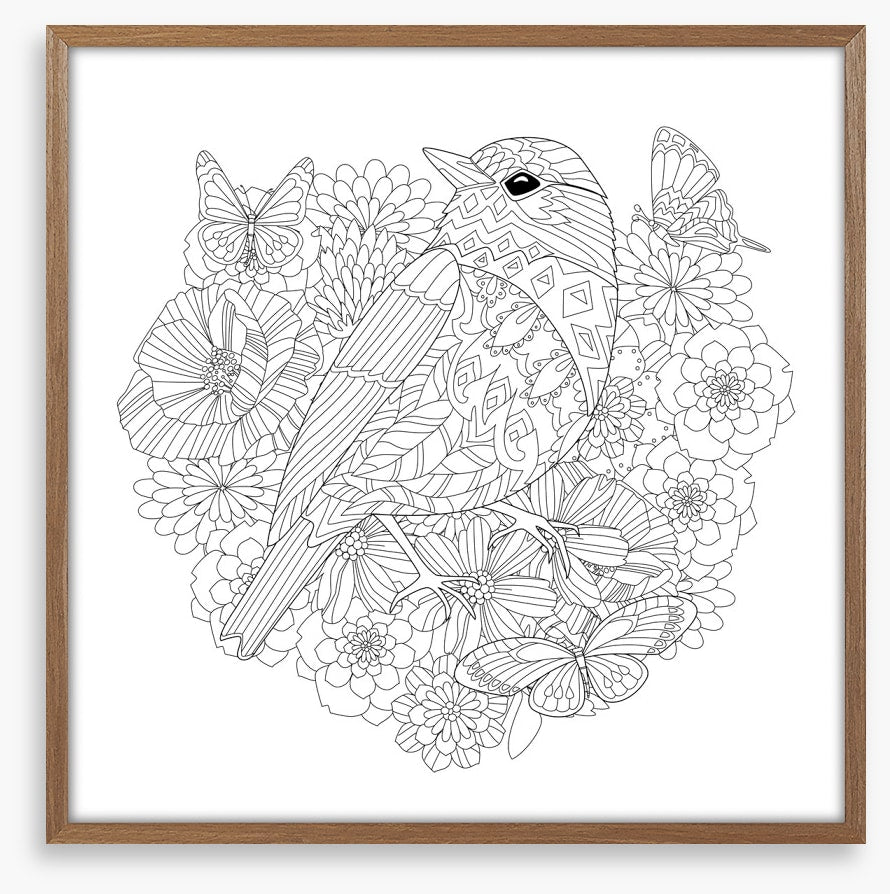 Colour me pretty bird