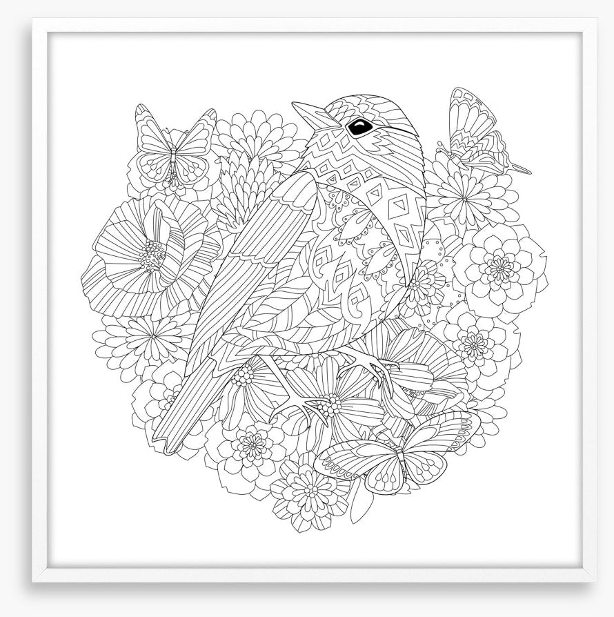 Colour me pretty bird