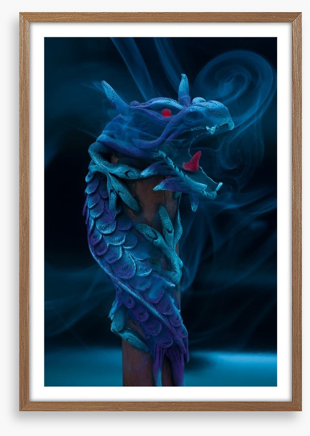 Dragons