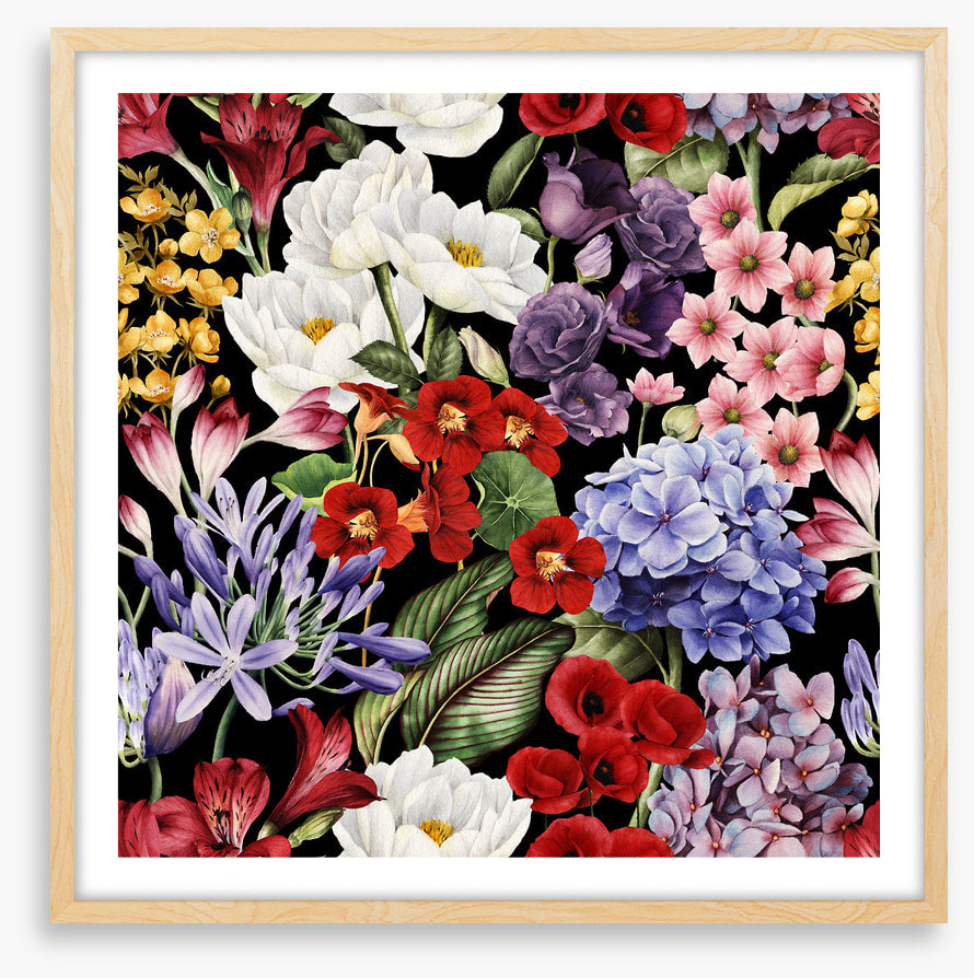 In full bloom