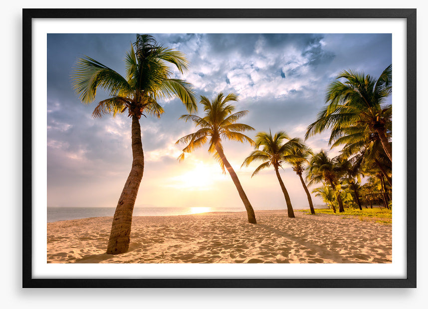 Coconut sunrise