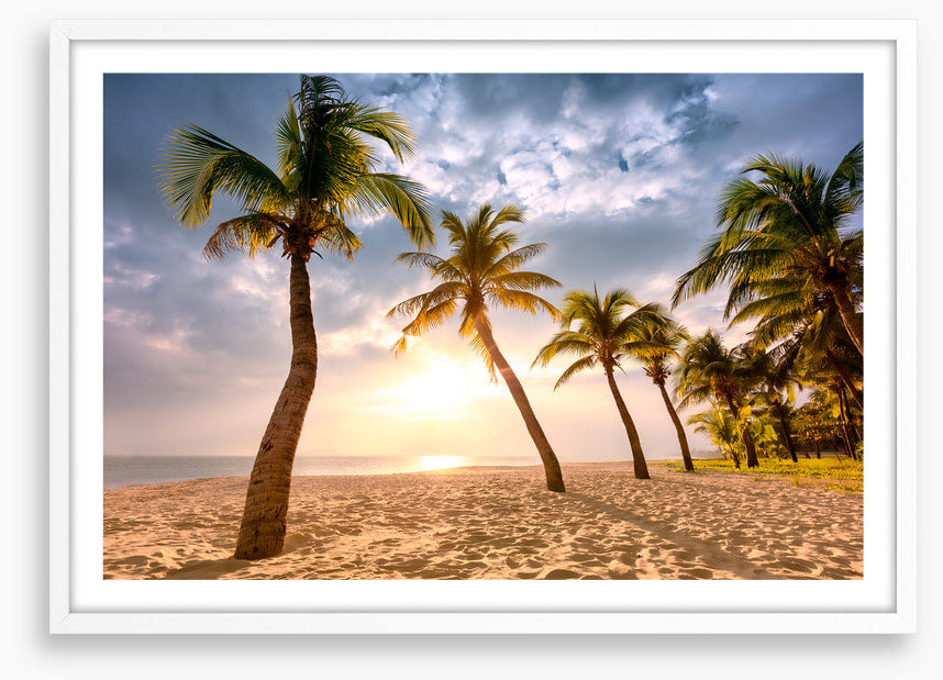 Coconut sunrise