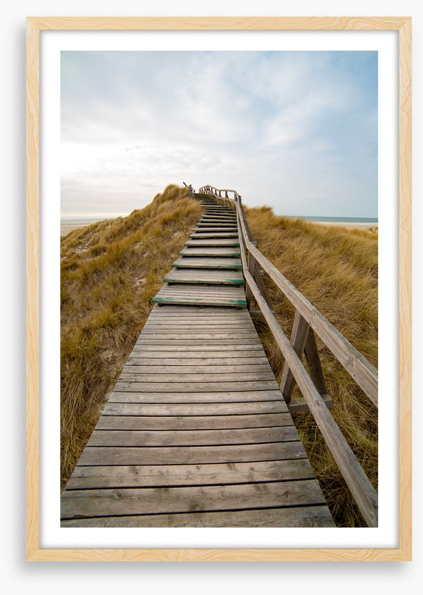 Jetty