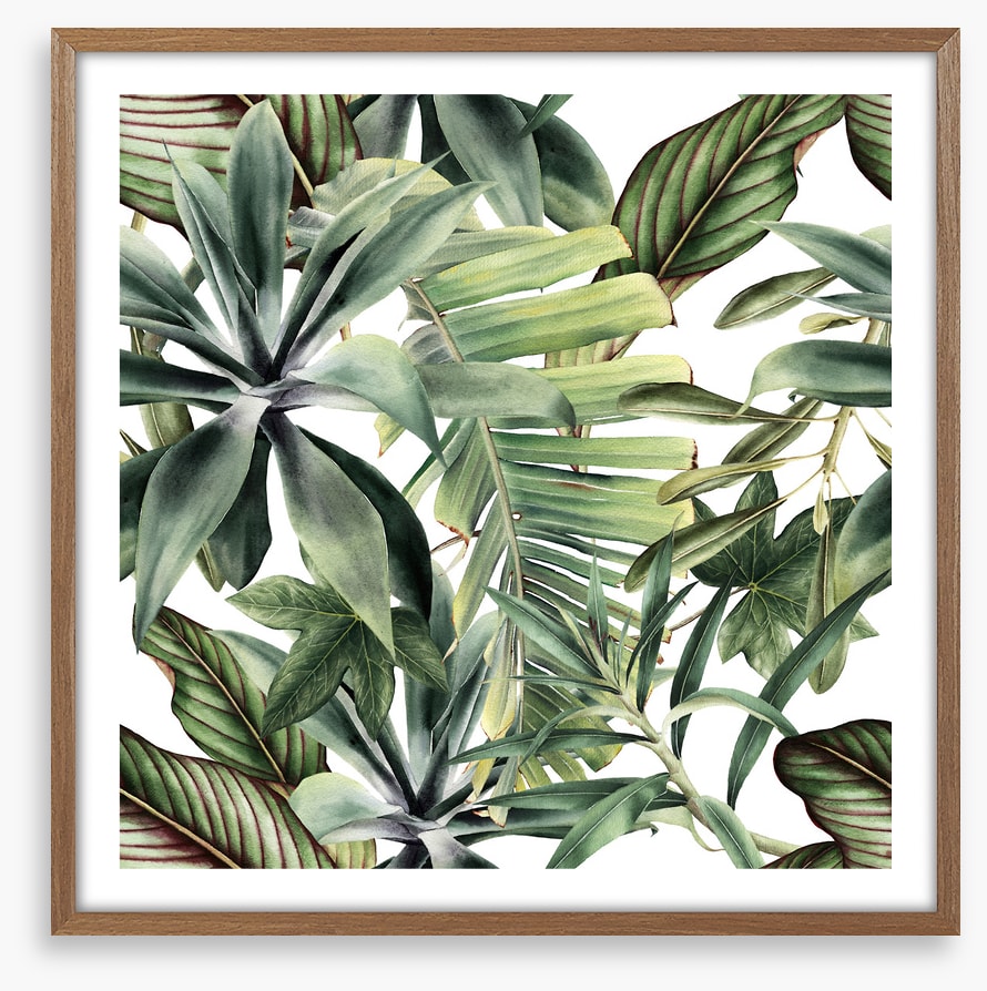 Leaf