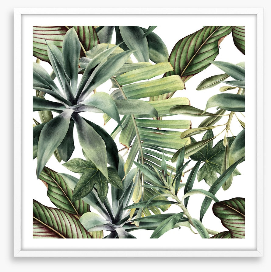 Leaf
