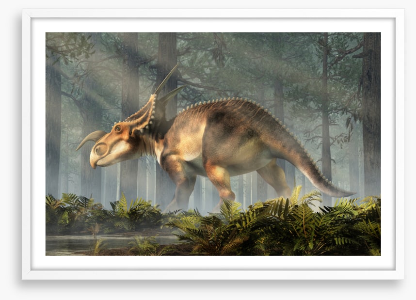 Einiosaurus explore