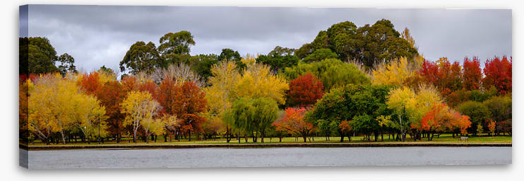Cloudy autumn panorama