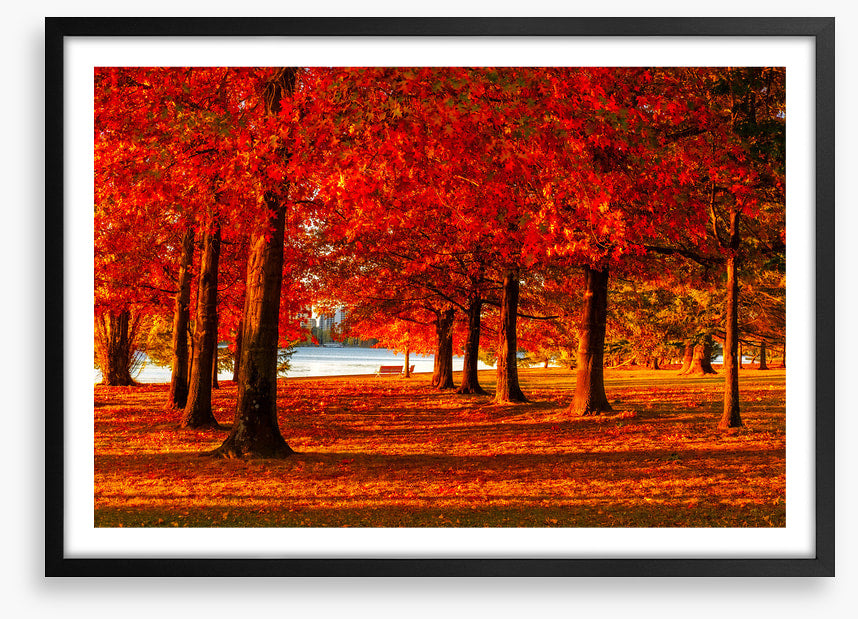 Nara Peace Park autumn