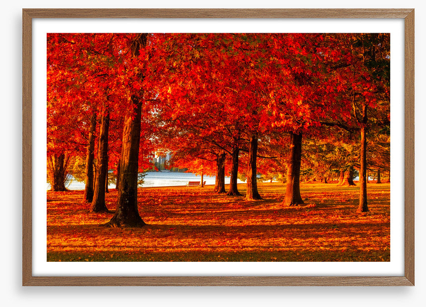 Nara Peace Park autumn