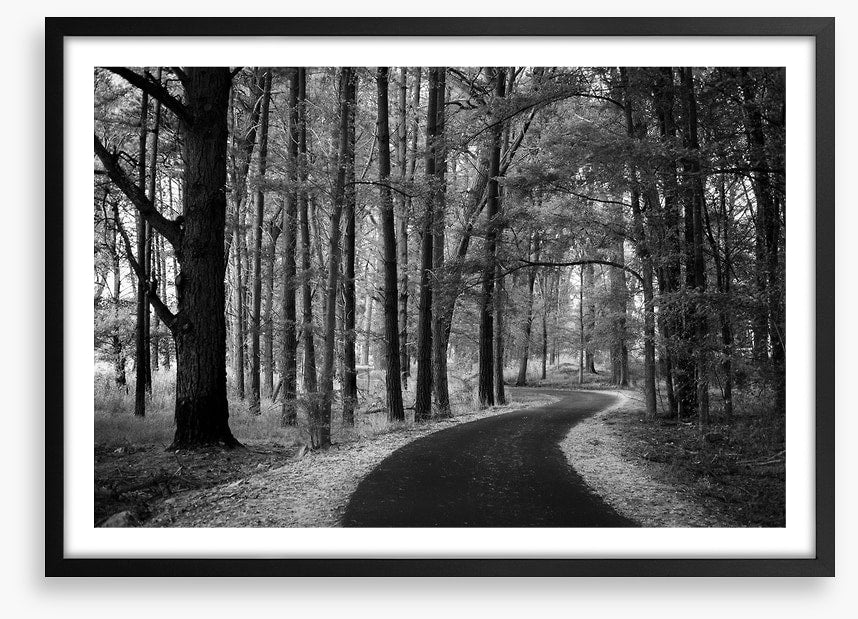 The winding path