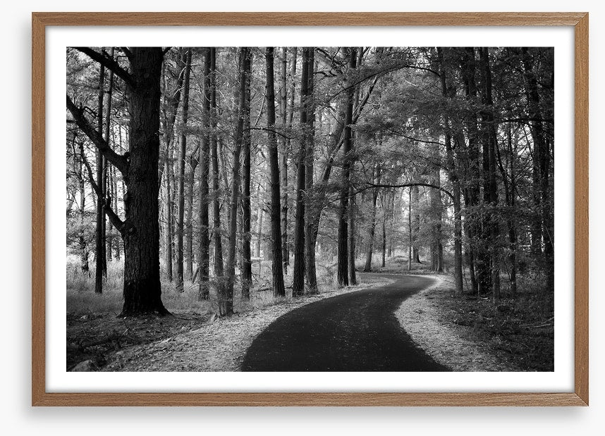 The winding path