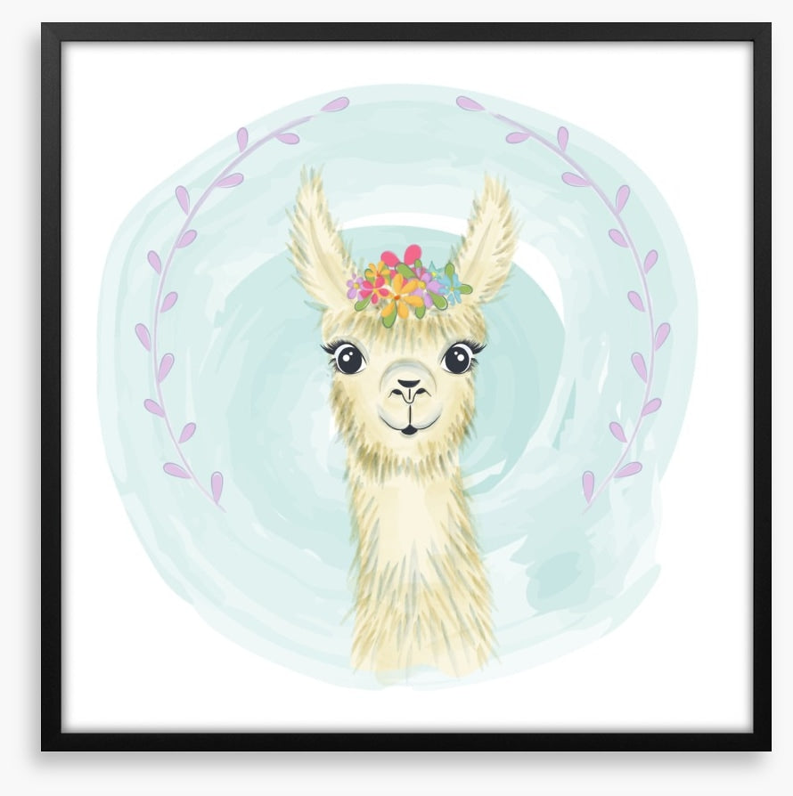 Little llama