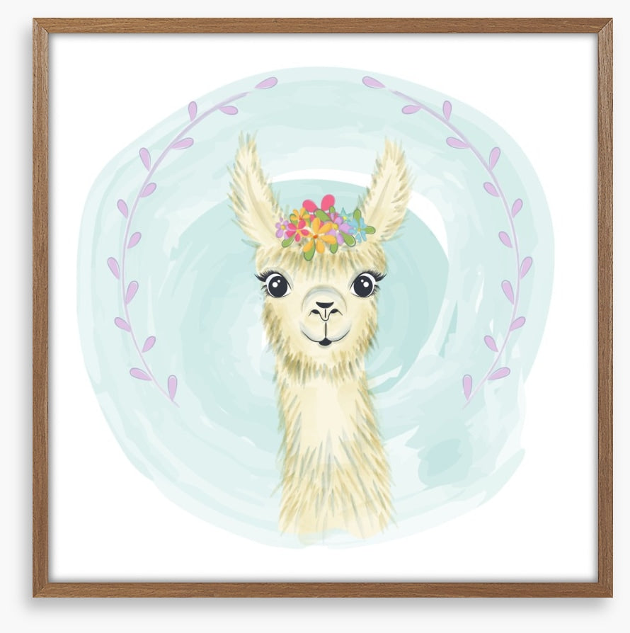 Little llama