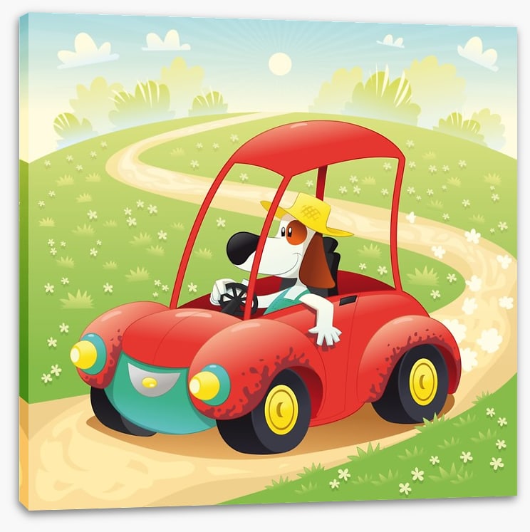 The beagle takes a drive