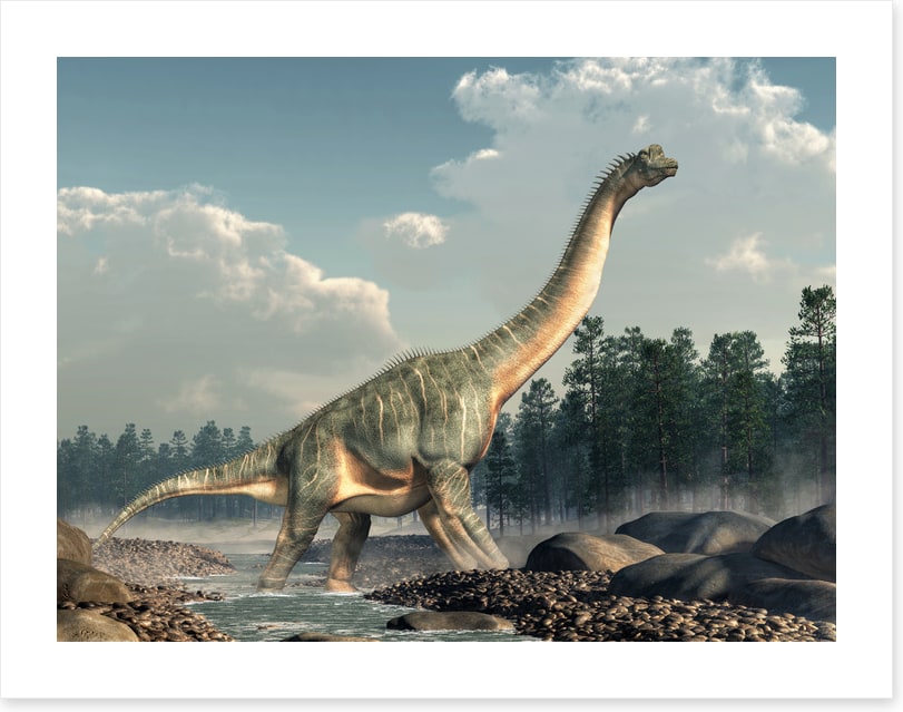 Brachiosaurus roam