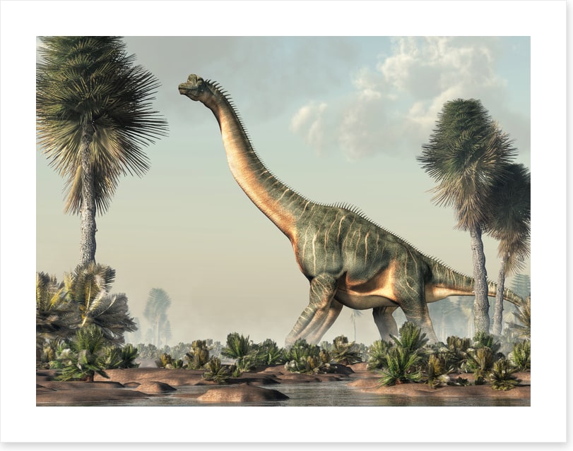 Brachiosaurus browse