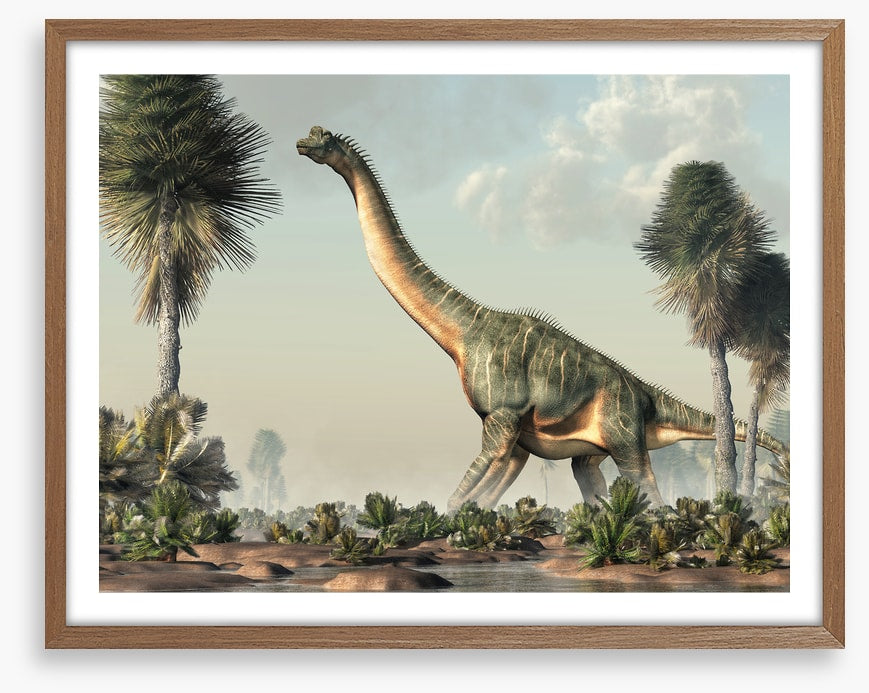 Brachiosaurus browse