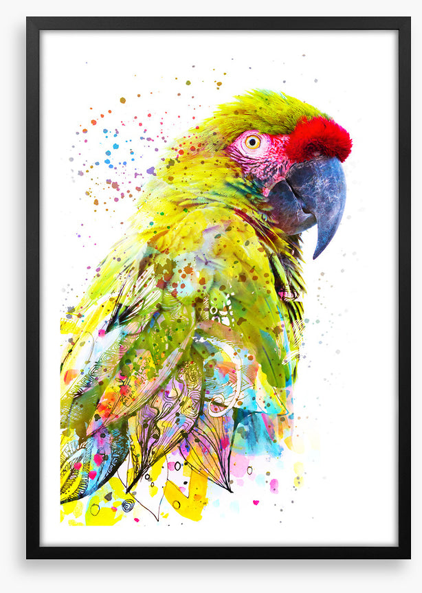 Party plumage I