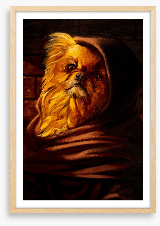 Shih Tzu in disguise
