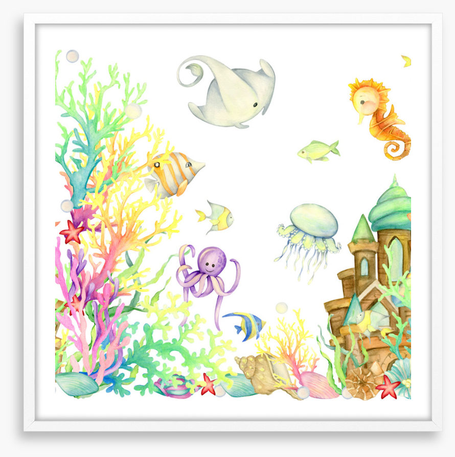 Hide and seaweed