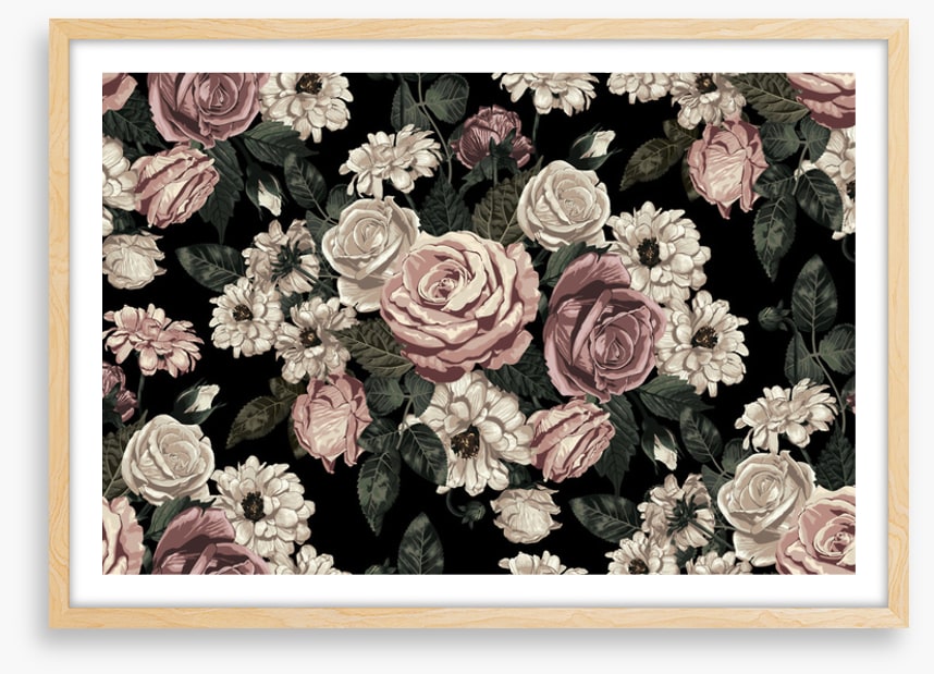 Midnight rose