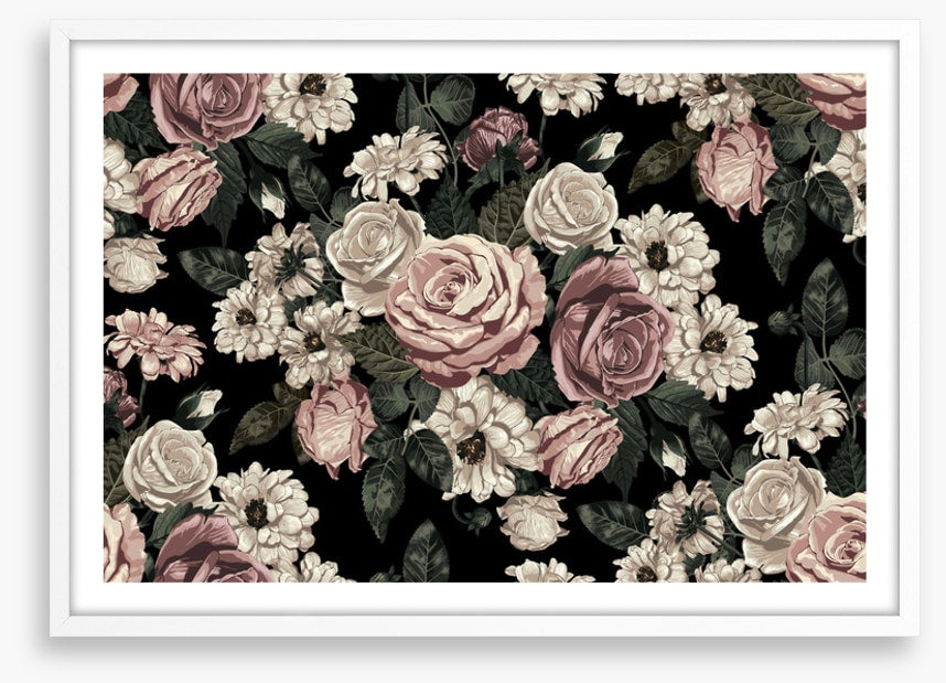Midnight rose