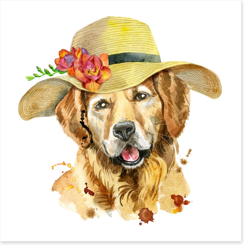 Loyalty at first sight