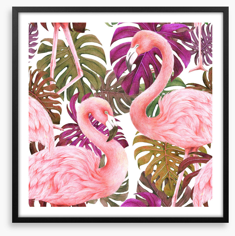 Flamingo dawn