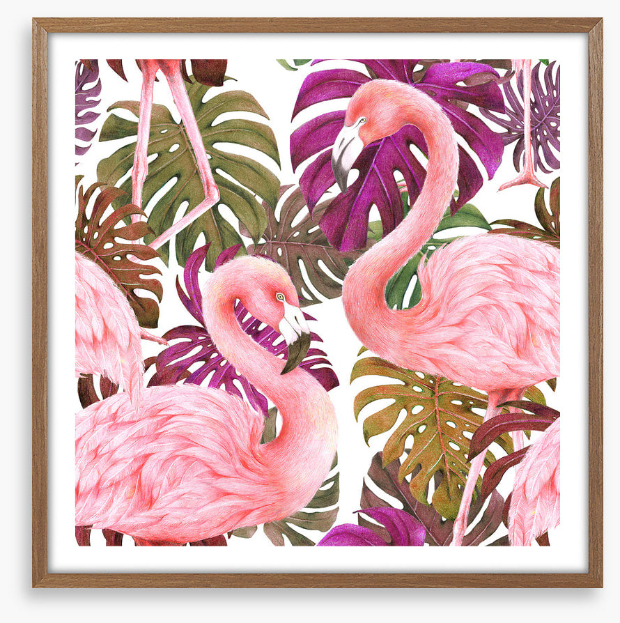 Flamingo dawn
