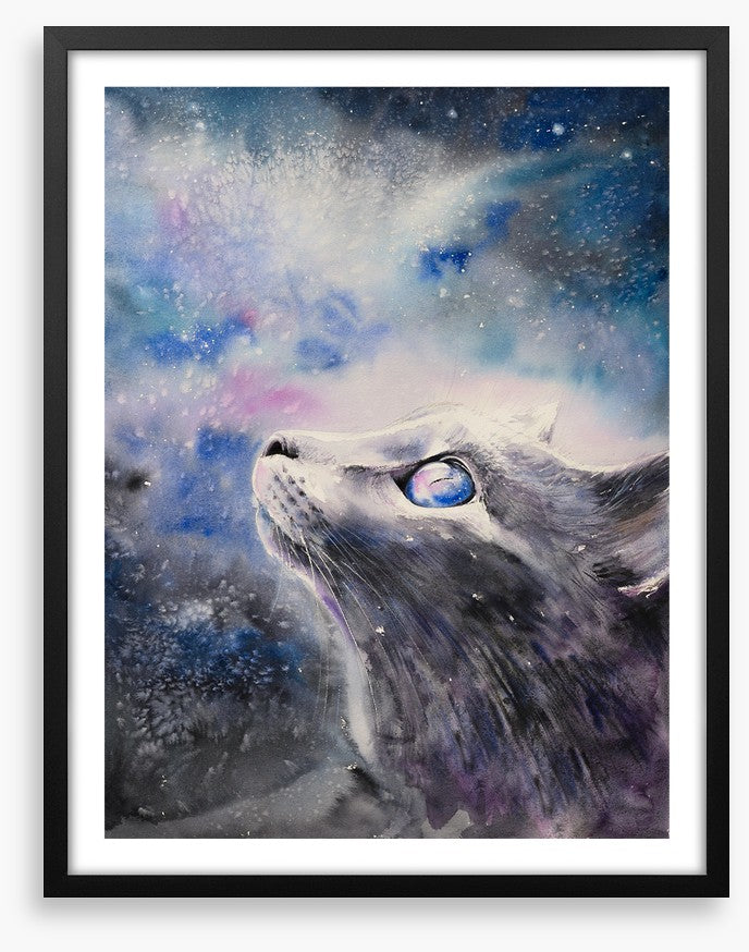 Cosmic cat