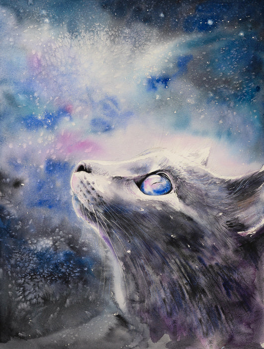 Cosmic cat