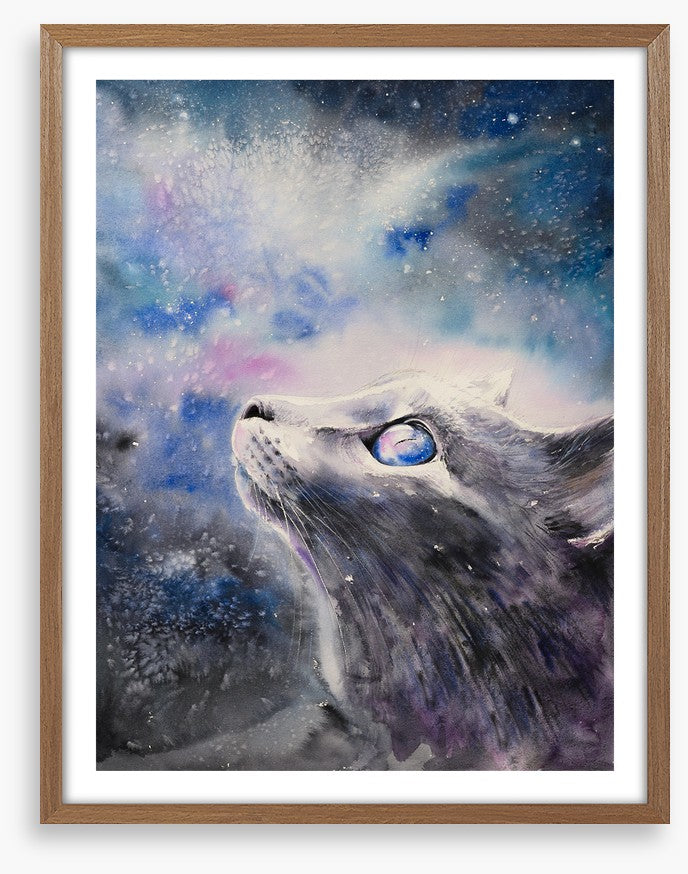 Cosmic cat