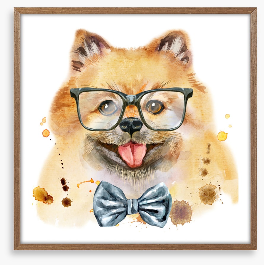 Mr Spitz